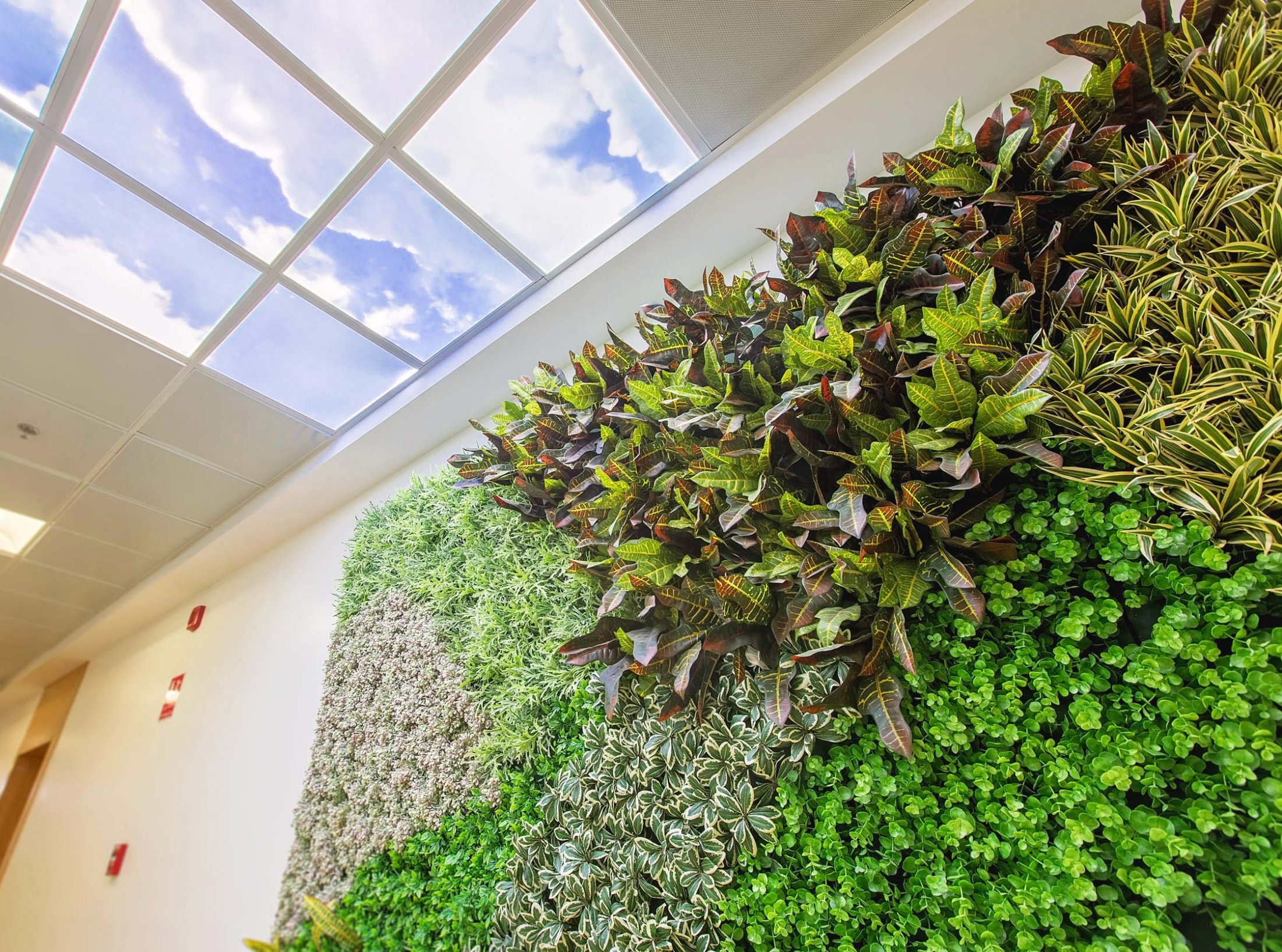 Other Brands By FBS | Focal Buildings Solutions